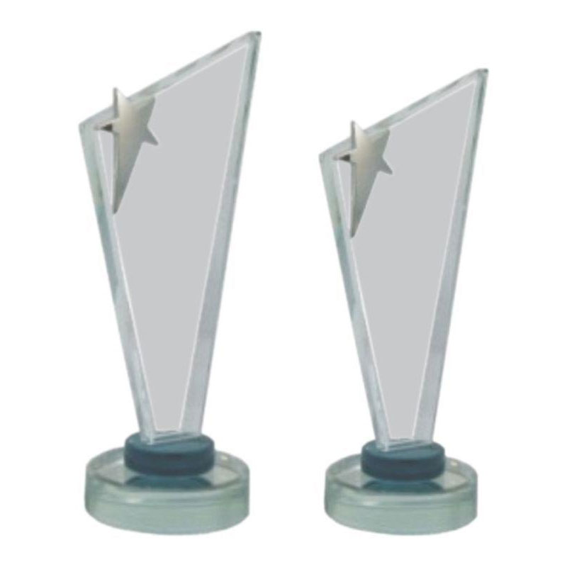 Silver Star Trophy