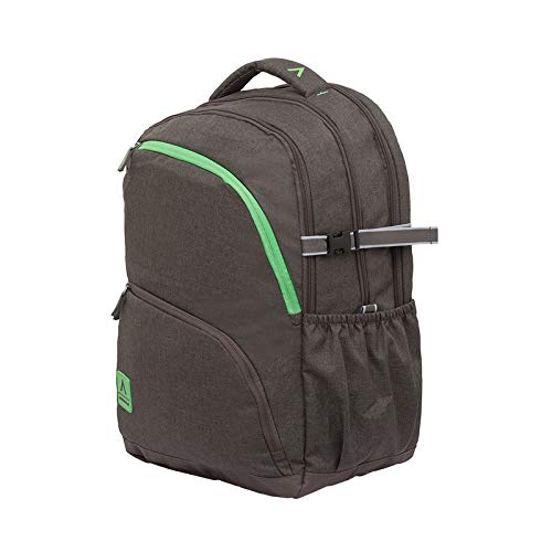 ARISTOCRAT Large 34 L Laptop Backpack Lex1