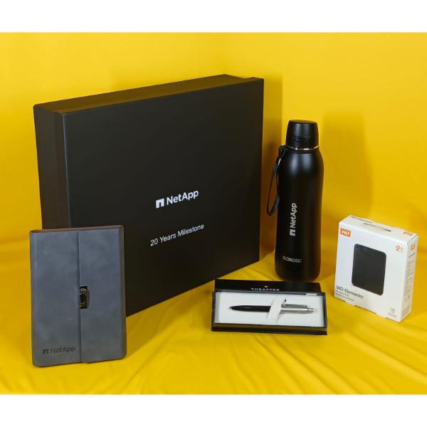 Netapp 20 years Service Award Gift Kit