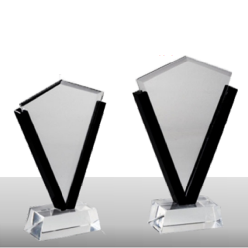 V Shape Acrylic Trophy